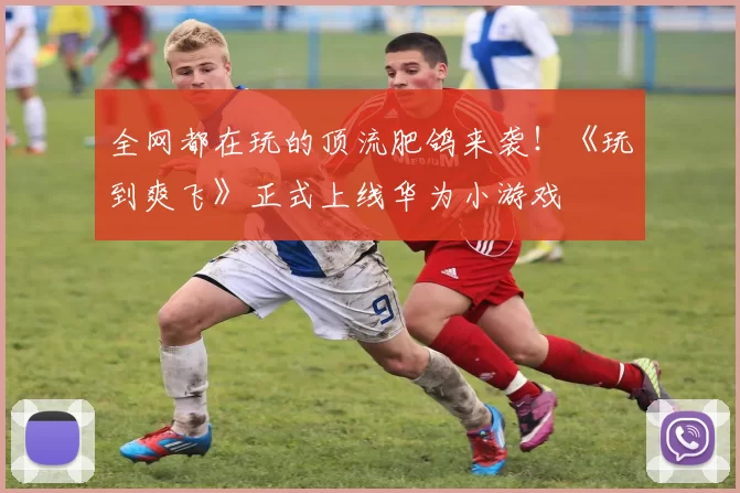 全网都在玩的顶流肥鸽来袭！《玩到爽飞》正式上线华为小游戏
