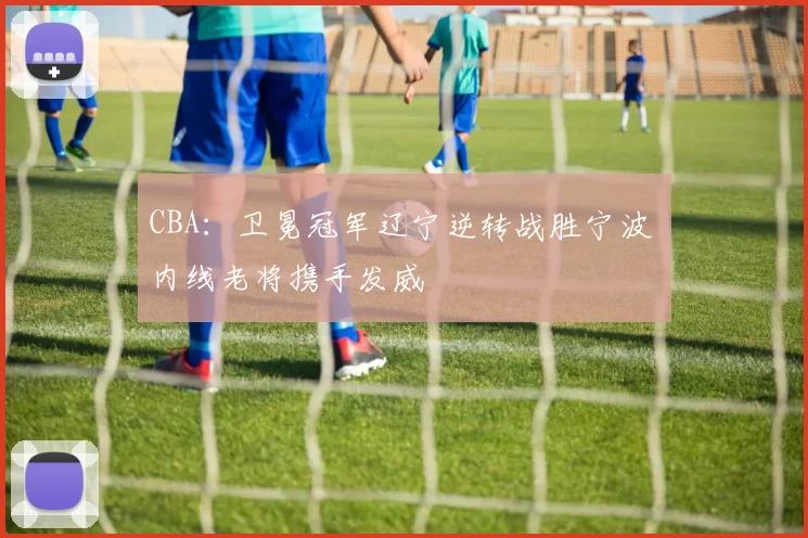 CBA：卫冕冠军辽宁逆转战胜宁波 内线老将携手发威