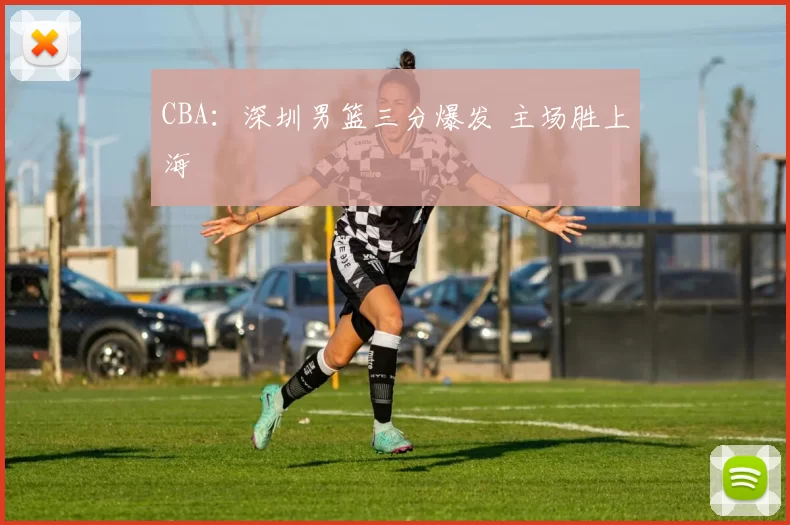 CBA：深圳男篮三分爆发 主场胜上海