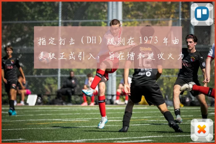 指定打击（DH）规则在 1973 年由美联正式引入，旨在增加进攻火力与比赛观赏性